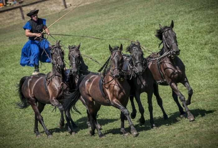 From Budapest: Puszta Horse Show and Countryside Visit - Leaving Budapest for the Hungarian Plains