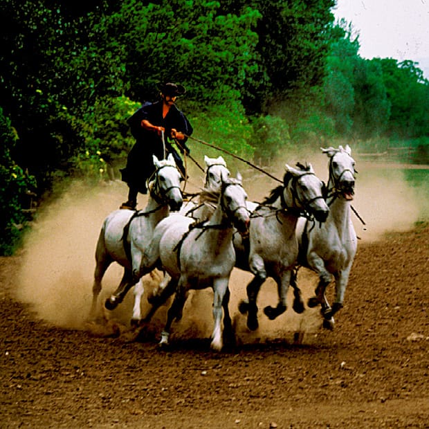 From Budapest: Puszta Horse Show and Countryside Visit - Arriving at the Lajosmizse farm