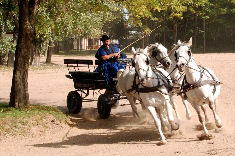 From Budapest: Puszta Horse Show and Countryside Visit - Guides, languages, and the pace of the day