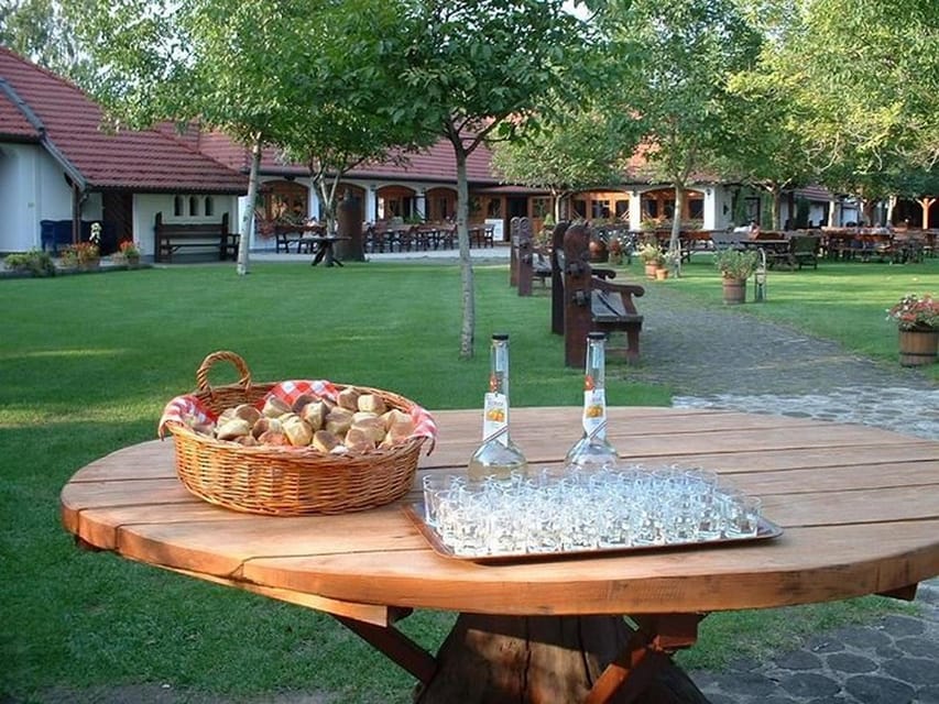 From Budapest: Puszta Horse Show and Countryside Visit - Should you book the Puszta horse show day?