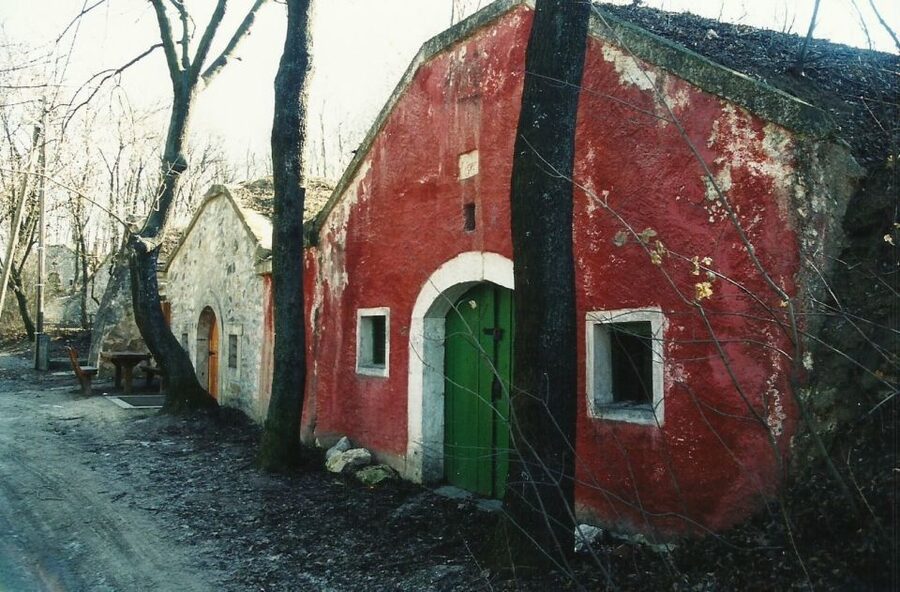 From Budpaest: Páty Wine Village Tour with Tastings - Key points about the Páty wine experience