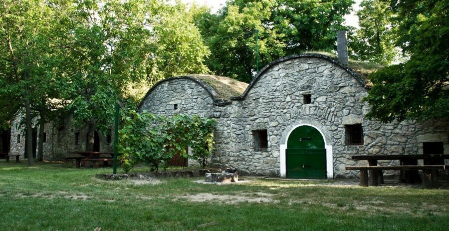 From Budpaest: Páty Wine Village Tour with Tastings - The value of $93 for three hours