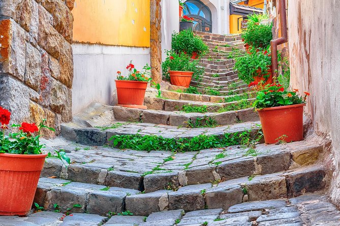 Godollo Sisi Castle and Szentendre Full-Day Private Tour from Budapest - The 45-minute ride to Szentendre
