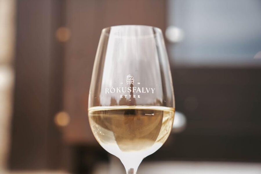 Guided wine tasting at Rókusfalvy Estate - A vineyard visit close to Budapest