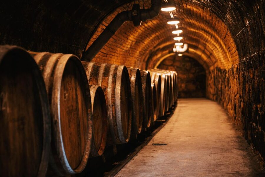 Guided wine tasting at Rókusfalvy Estate - Inside the barrel and champagne cellars