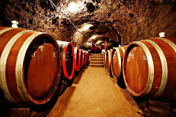 Half Day Tokaj Wine Tasting Tour in Mád Hungary with lunch - Who will enjoy this tour most