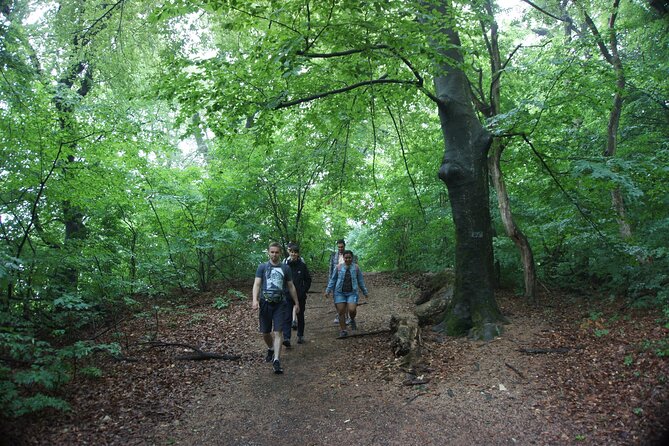 Hiking in Budapest - Why the Buda hills make a smart break from sightseeing