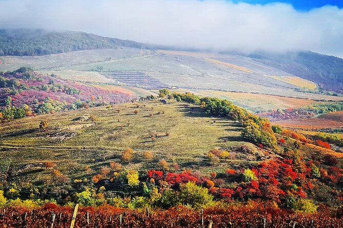 Home to Bull's Blood red wine! Eger with winetaste private tour - Five wines in the Valley of the Beautiful Women