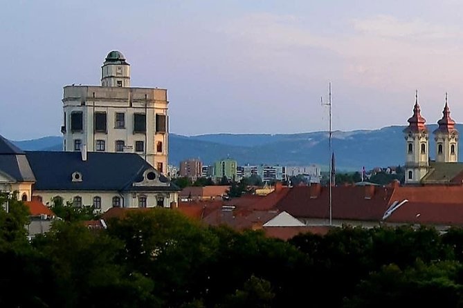 Home to Bull's Blood red wine! Eger with winetaste private tour - Minorita Church and the baroque center