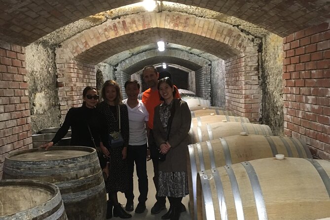 Home to Bull's Blood red wine! Eger with winetaste private tour - Eger Castle and the story of 1552