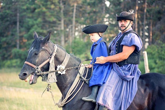 Horseshow on the Hungarian Puszta, private tour from Budapest with entry! - Key points to know before booking