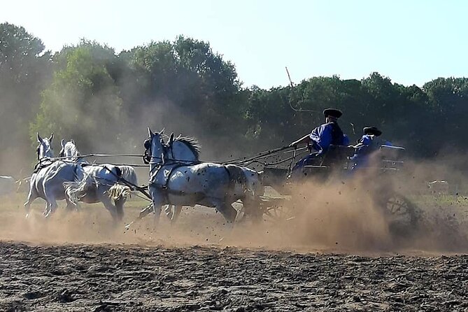 Horseshow on the Hungarian Puszta, private tour from Budapest with entry! - The stables and the horses