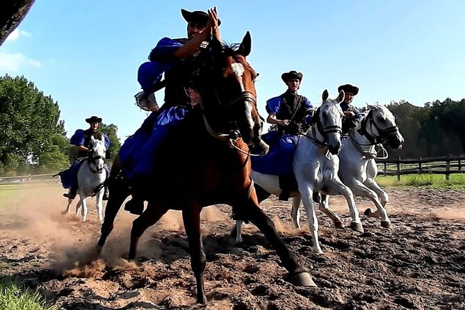 Horseshow on the Hungarian Puszta, private tour from Budapest with entry! - What the $360 price really covers