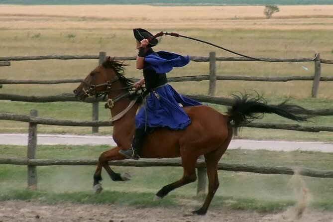 Horseshow on the Hungarian Puszta, private tour from Budapest with entry! - Who will enjoy this private day trip