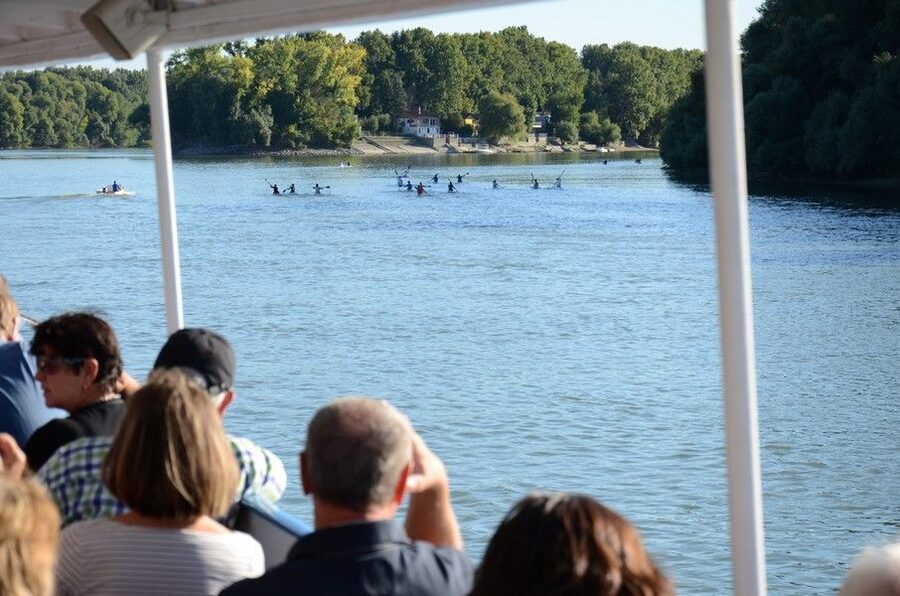 Hungary: Full-Day Private Danube Bend Tour - Transport, timing, and the weekend boat option