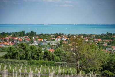 Lake Balaton Full Day Private Wine Tour