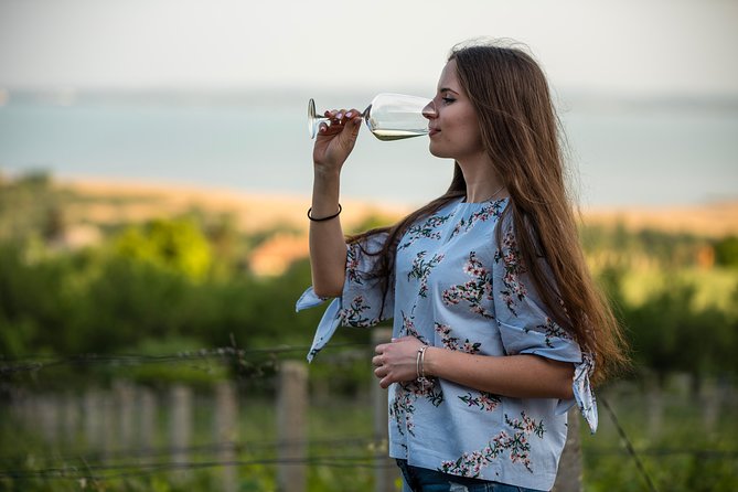 Lake Balaton Full Day Private Wine Tour - Price, group size, and who gets the best value