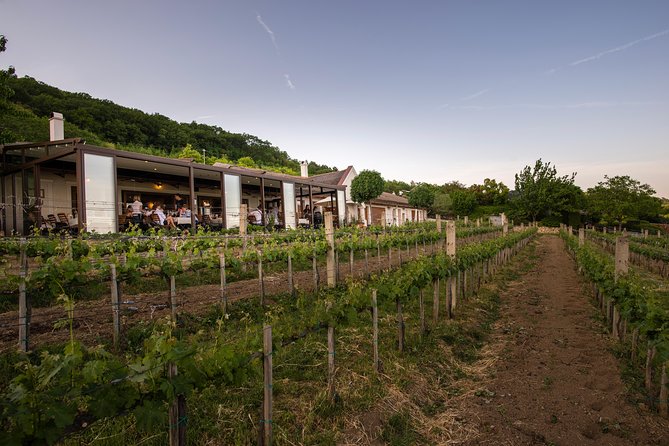 Lake Balaton Full Day Private Wine Tour - Practical details that can affect your day