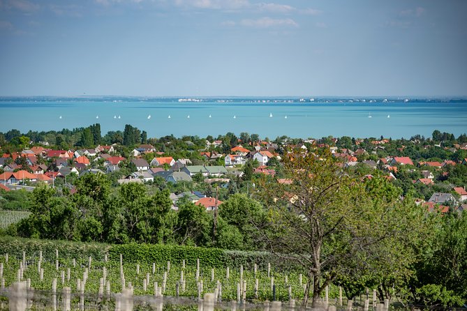 Lake Balaton Full Day Private Wine Tour - Private pickup and the value of traveling with your own group