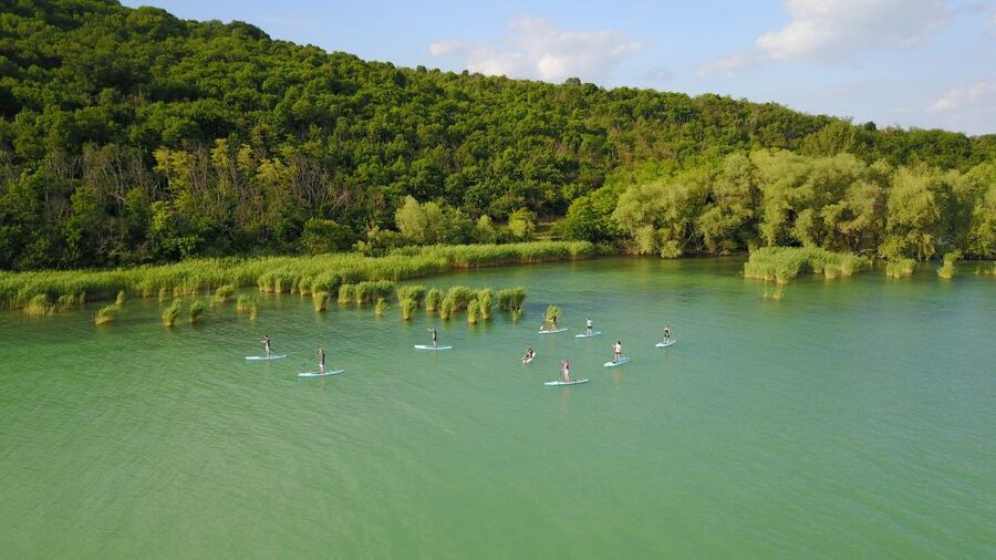 Lake Balaton: Paddle Board Tour of Tihany National Park - Key points at a glance