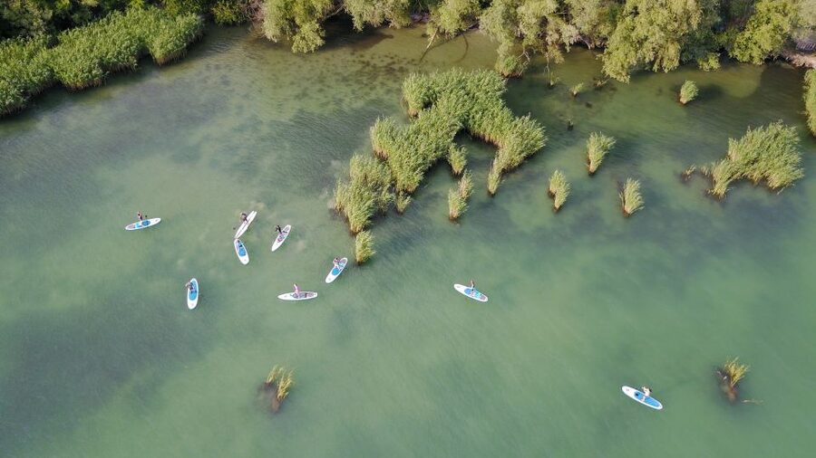 Lake Balaton: Paddle Board Tour of Tihany National Park - Starting at Club Tihany beside the ferry