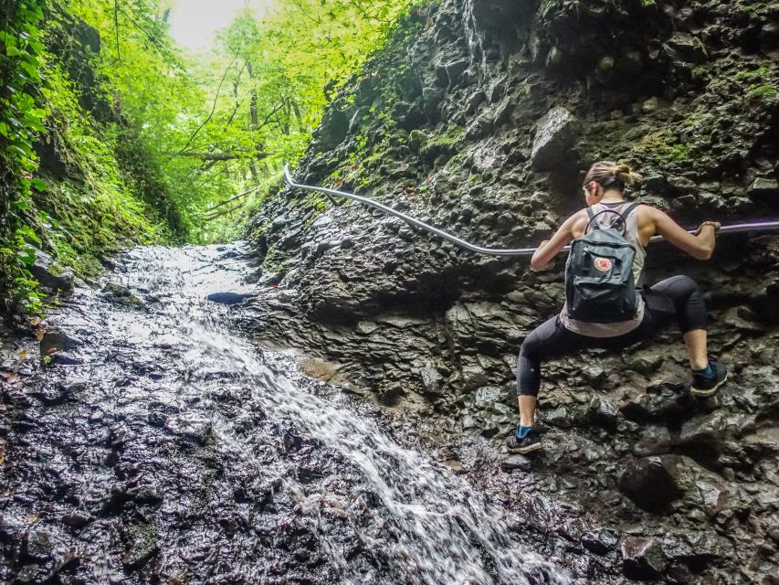 One Day Wonder Hike - The Essence of the Danube Bend - The long descent through quiet forest