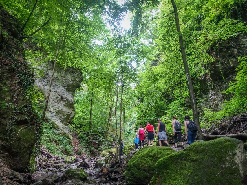 One Day Wonder Hike - The Essence of the Danube Bend - Guides, pace, and the human side of the day