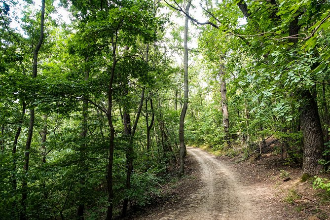 Panoramic hike around Budapest - Is the $108.26 price good value?