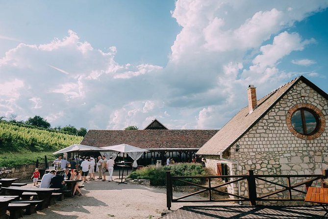 Private Etyek Wine tour with dinner including a Budapest Danube Evening Cruise - Rain, winter dates, and practical comfort