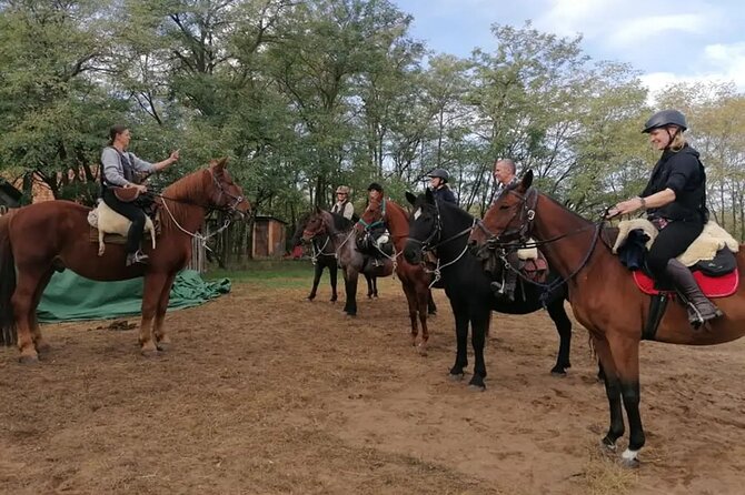 Private Horse Riding near Budapest with transport - Is $189 Good Value?