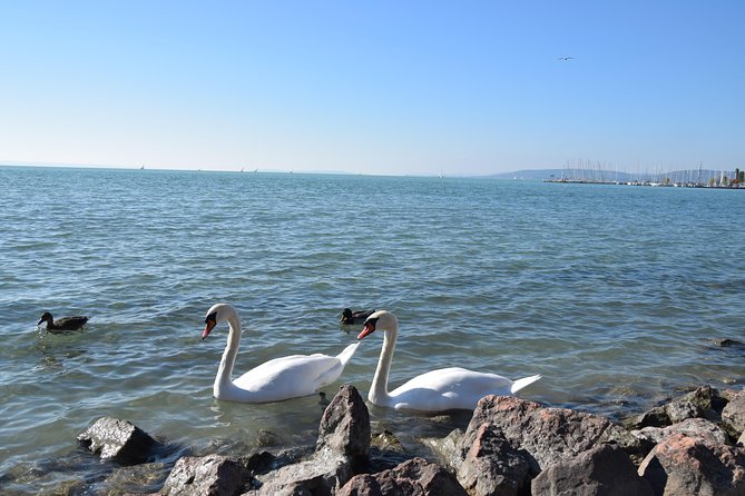 Private Lake Balaton Experience with an unforgettable Wine Tasting - What the $372.34 price buys