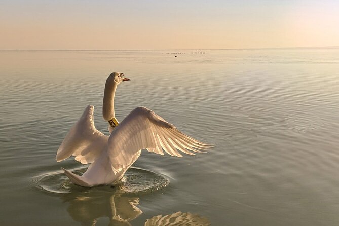 Private tour from Budapest to a top hidden treasure region of Europe: Lake Balaton - Balatonfüred, promenades and grand villas