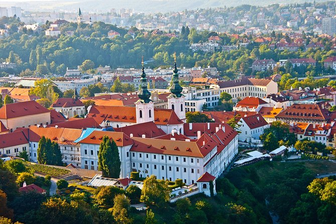 Private Transfer from Budapest to Prague with 2 hours for sightseeing - The driver’s role: helpful local contact, not a private guide