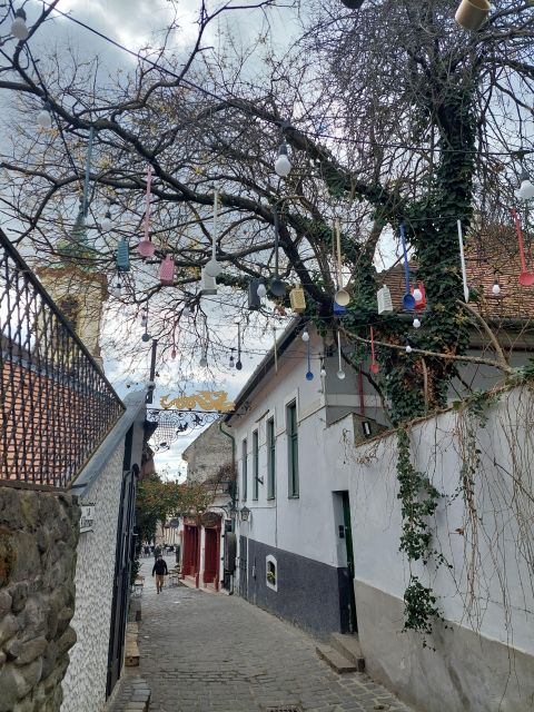 Szentendre: Half-Day Private Tour from Budapest - Why Szentendre makes a good half-day from Budapest