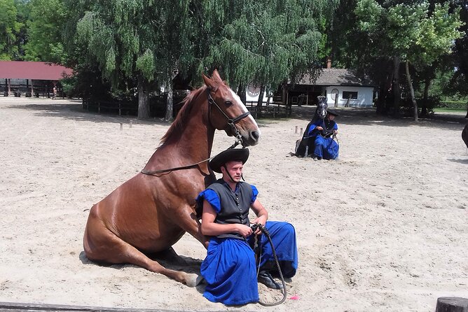 The "Puszta" Horse Show - Key Points to Know Before You Book