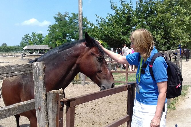 The "Puszta" Horse Show - The Horse Show and the Skills Behind It