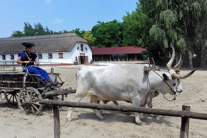 The "Puszta" Horse Show - Hungarian Lunch with Drinks Included