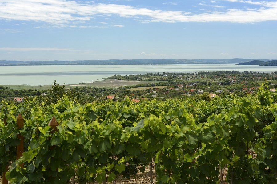 The Turquoise Sea of Hungary: Lake Balaton Private Tour - The 10-minute ferry across Lake Balaton
