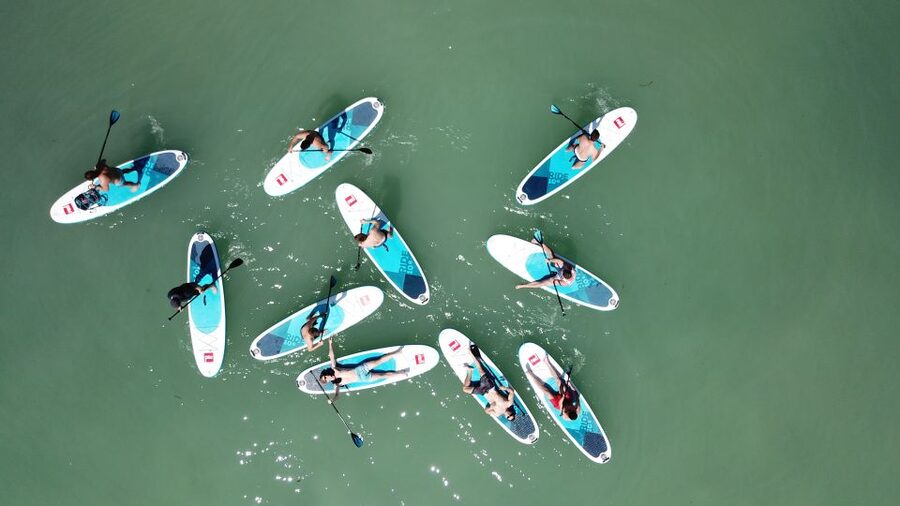 Tihany: SUP Course and Tour at Lake Balaton - What you’ll learn before paddling away