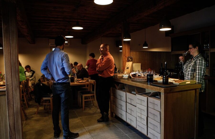 Tokaj: Classic Wine Tasting - The best reason to book Hímesudvar
