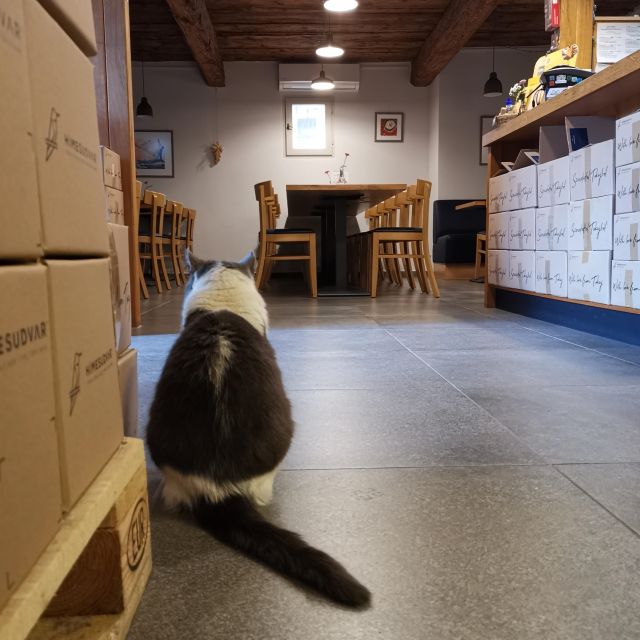 Tokaj: Classic Wine Tasting - Is $26 a fair price?