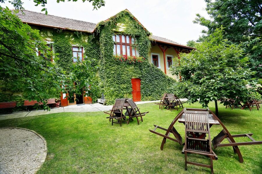 Tokaj: Classic Wine Tasting - Six wines with a clear dry-to-sweet order