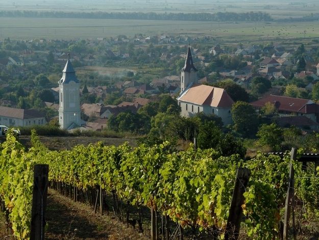 Tokaj Private Day Tour from Budapest - Why Tokaj is worth the long ride from Budapest