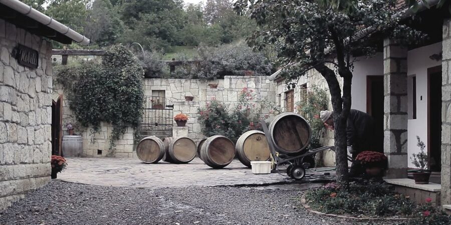 Tokaj Private Day Tour from Budapest - Touring a Tokaj cellar and learning the method