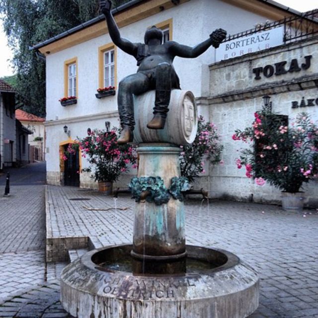 Tokaj Private Day Tour from Budapest - Who will enjoy this private Tokaj day?