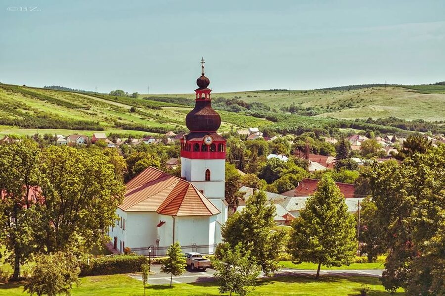 Tokaj Private Day Tour from Budapest - Booking details that matter