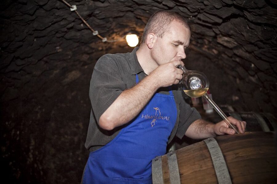 Tokaj: Vineyard Tour & Tasting - Why Tokaj makes a good wine day