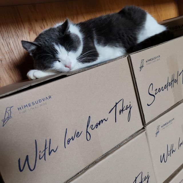 Tokaj: Vineyard Tour & Tasting - Is $92 a fair price?