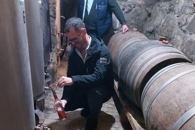 Wine Tasting in the Countryside from Budapest - Key points to know before booking