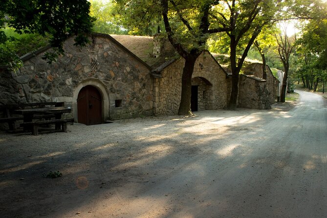 Wine Tasting in the Countryside from Budapest - Leaving Budapest for Patys old wine cellars